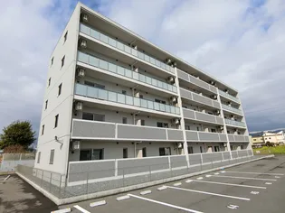 プラシードの画像