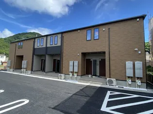 プリムラの画像