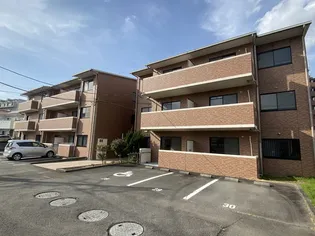 アムール石塚【105号室】の外観