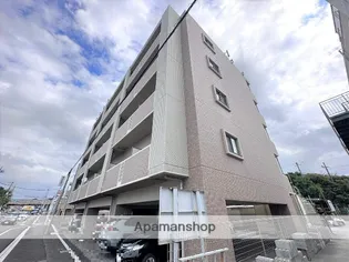 あした葉の画像