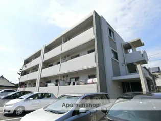 ココ シェリーナの画像