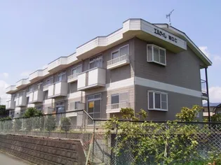 エルディム田口C【2階】の外観