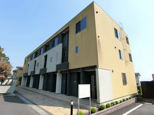 サンフラワーの画像