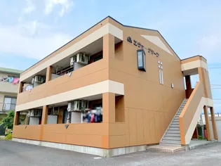 エヴァーグリーンの画像