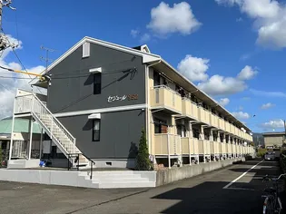 セジュールの画像