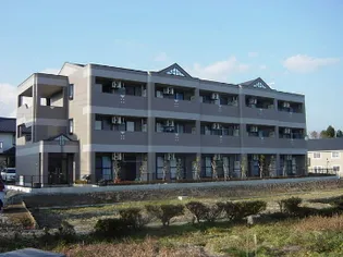 スマイル花水木の画像