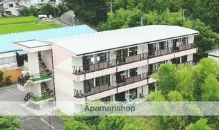 サンシャインヒルズ中清水【2階】の外観