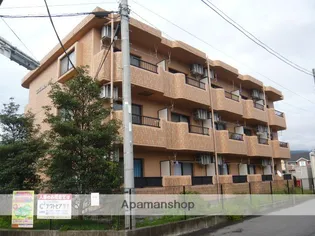 エタンシャンラヴィーヌの画像