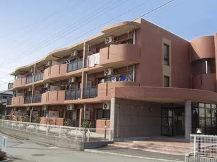 レインボー21の画像