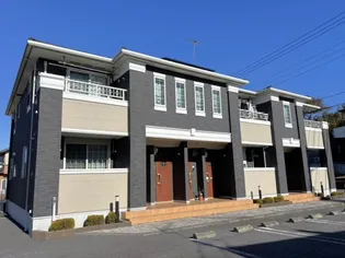 プラシード Kの画像