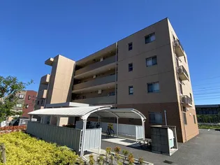 グロワールMの画像