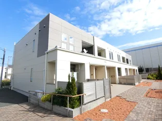 ルミナス Mの画像