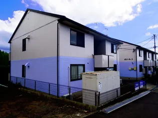 ボナールABの画像