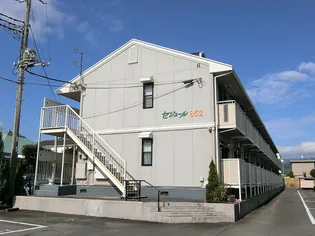 セジュールの画像