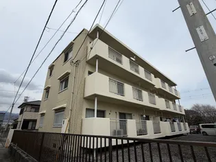 プラテリアの画像