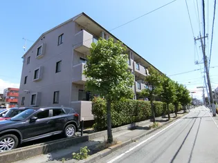 サンパークハイツ沼北E【1階】の外観