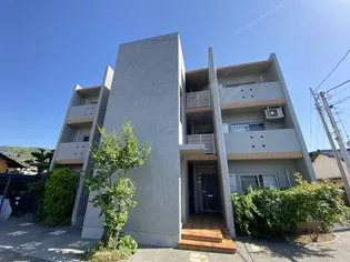 アゼリアの画像