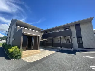 サンフローラの画像