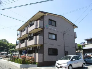 マ メゾンMの画像