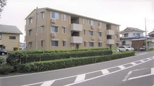 ミルキー ウェイの画像