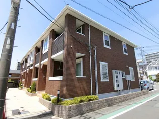 スカビオサの画像