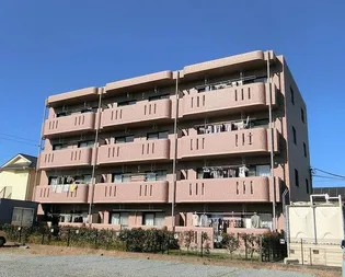 フランヴィエルジュの画像