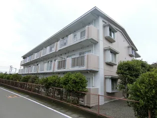 AMOURナメリの画像