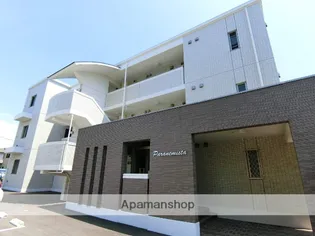 パラネミスタの画像