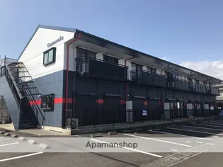 カマラードの画像