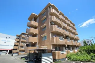 アルタイルS【205号室】の外観