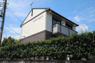 ビーフリー佐野Fの画像