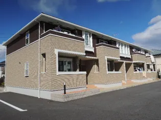 光ハヤマの画像