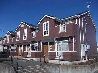 セトルサーノの画像