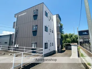 シティーリバーⅣの画像