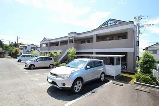 ダンサエルマーナの画像