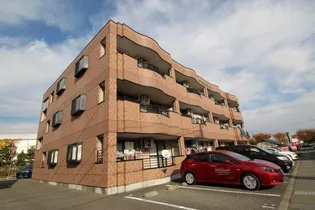 プランドールの画像