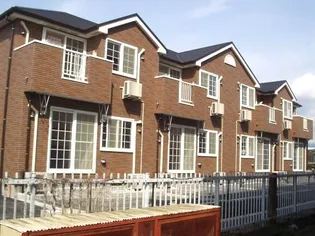 プリムローズの画像