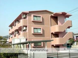 アルメリアの画像