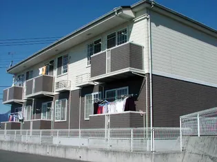 サラシティーの画像