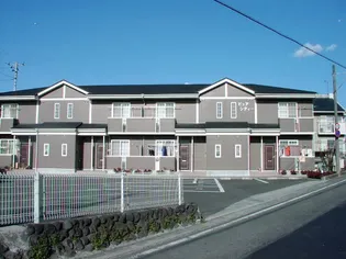 ピュアシティーの画像