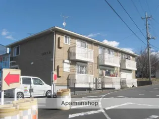 SUN Y Mの画像