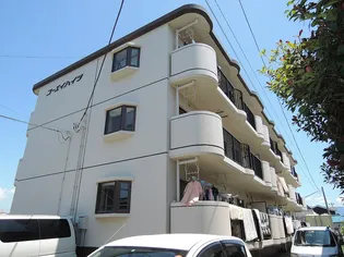 コーエイハイツの画像