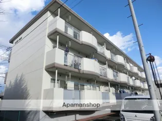 コスモフジの画像