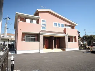 もみの樹 Ⅱの画像