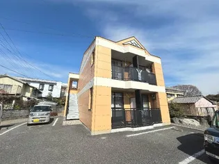 ボナール恵の画像