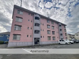 リトルマーシュBの画像