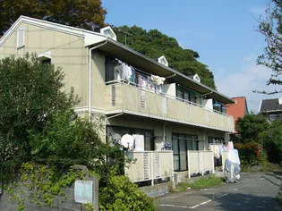 フローラフジA【203号室】の外観