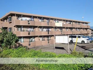 サニーフォレストの画像