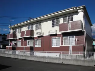 サラシティーの画像