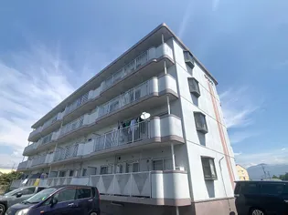 モイスンフジの画像